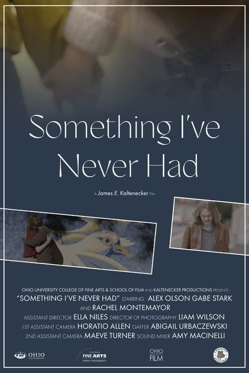 Something I've Never Had poster