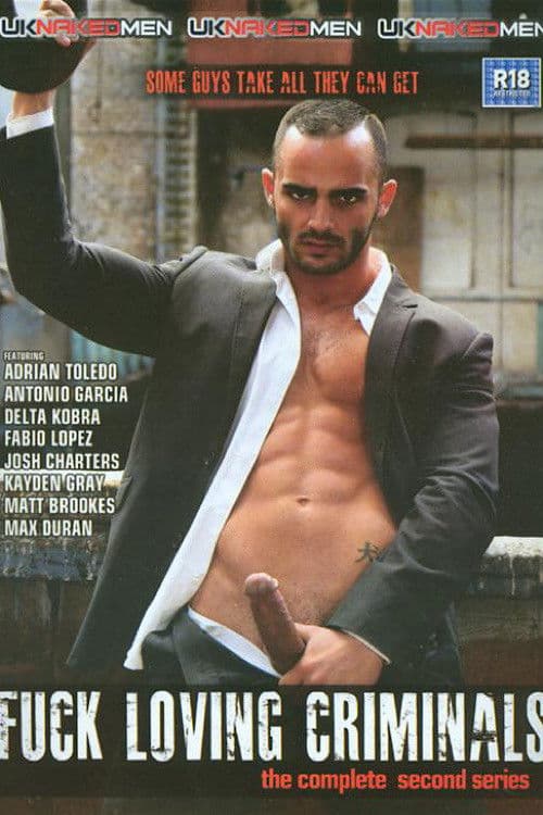 Fuck Loving Criminals 2 poster