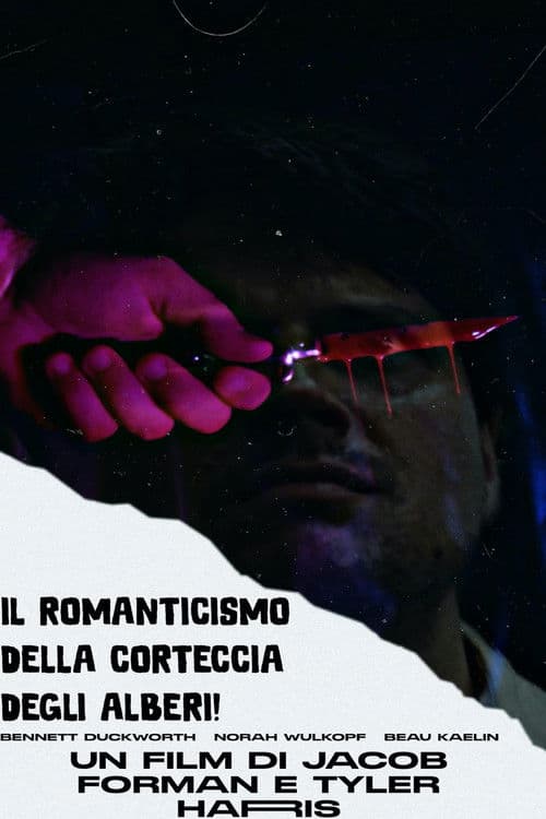 The Tree Bark Romance poster