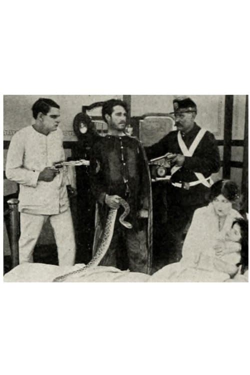 The Rattlesnake poster