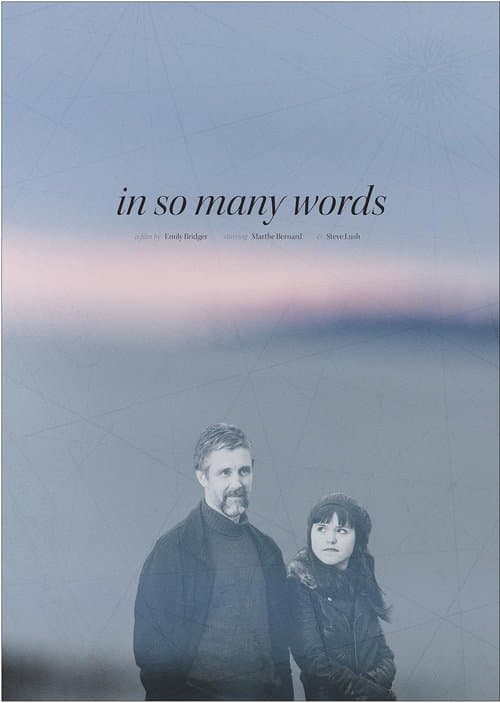 In So Many Words poster