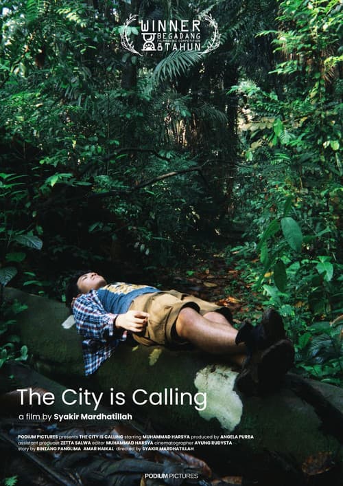 The City is Calling poster