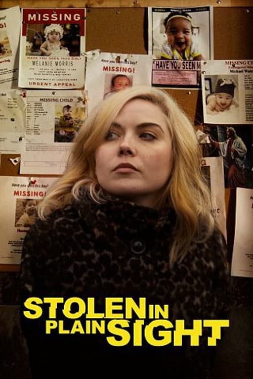 Stolen in Plain Sight poster