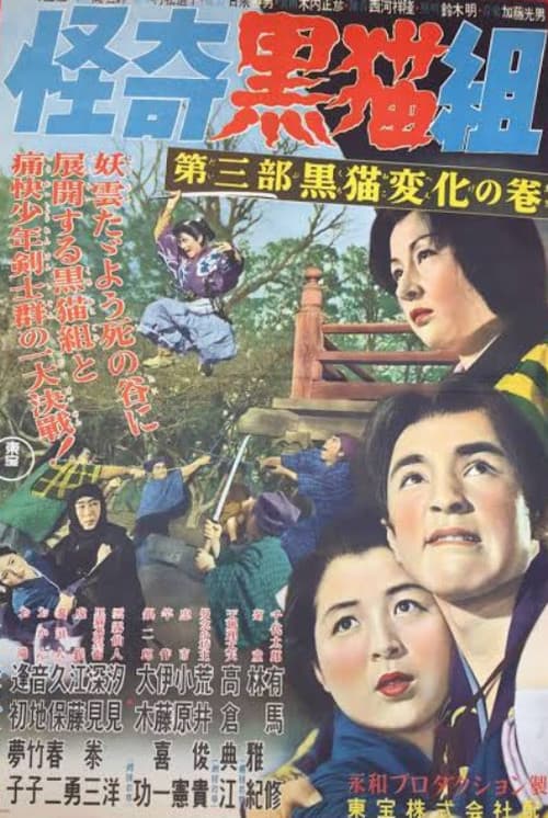 Mystery of the Black Cats, Volume 3: The Black Cats' Disguise poster