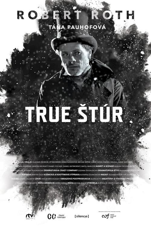 True Štúr poster
