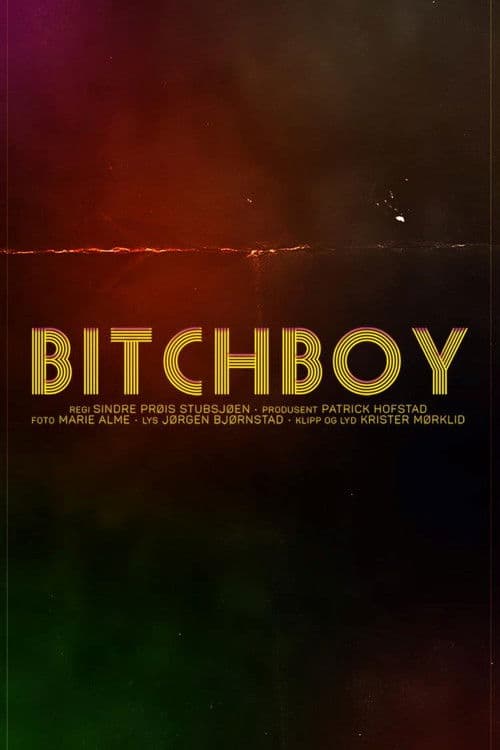 Bitchboy poster