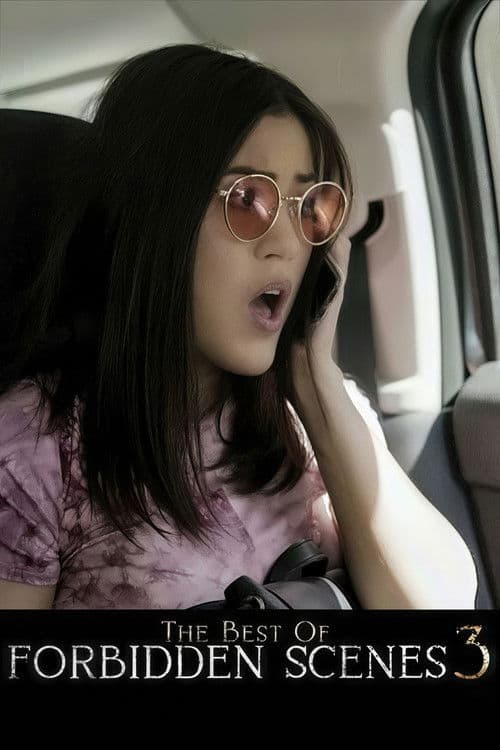 The Best of Forbidden Scenes 3 poster