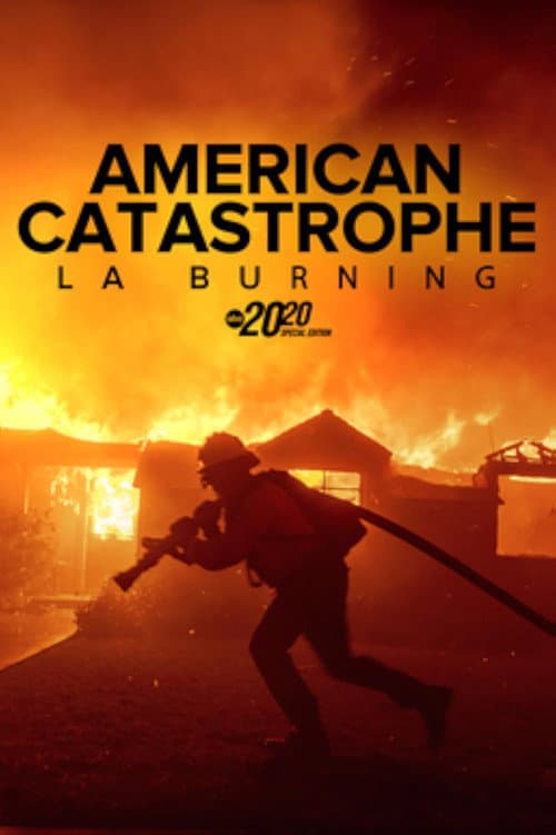 American Catastrophe: LA Burning -- Special Edition of 20/20 poster