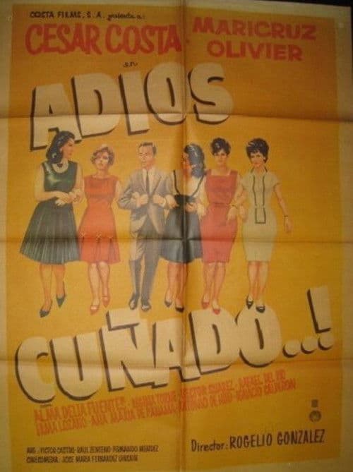 Adios cuñado poster