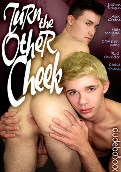 Turn the Other Cheek poster