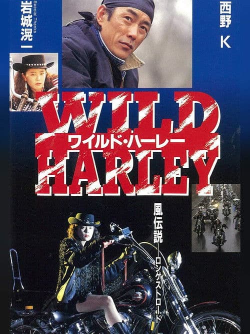 Wild Harley poster