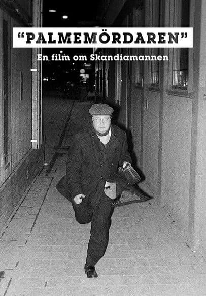 Palmemördaren poster