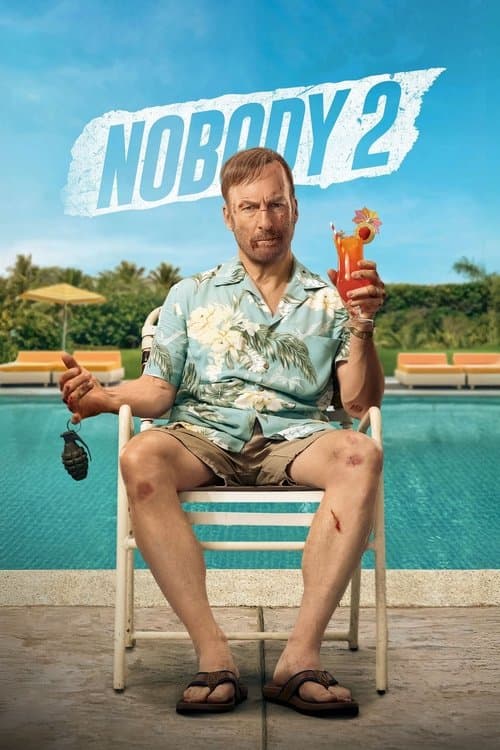 Nobody 2 poster