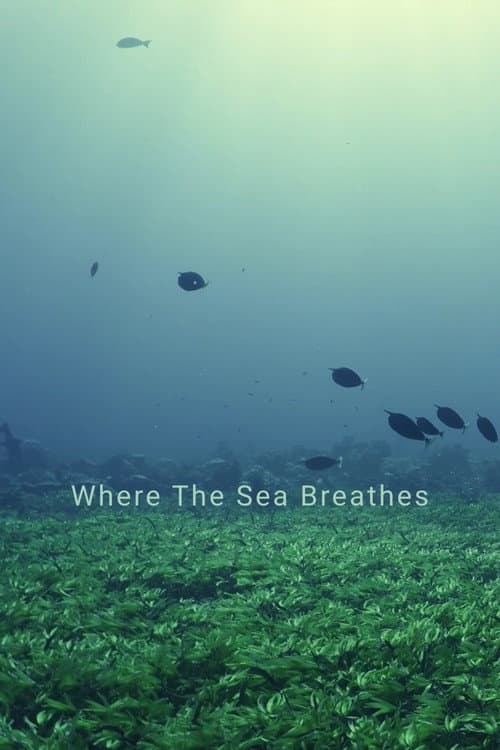 Where The Sea Breathes poster