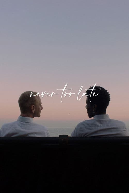 Never Too Late poster