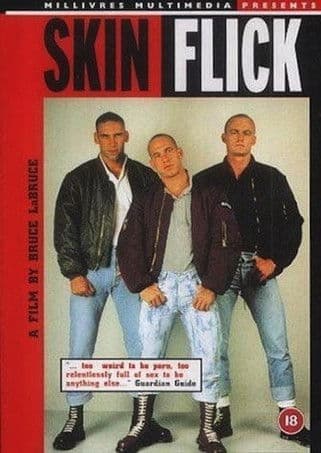 Skin Flick poster