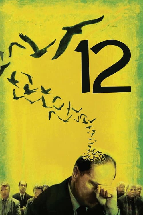 12 poster