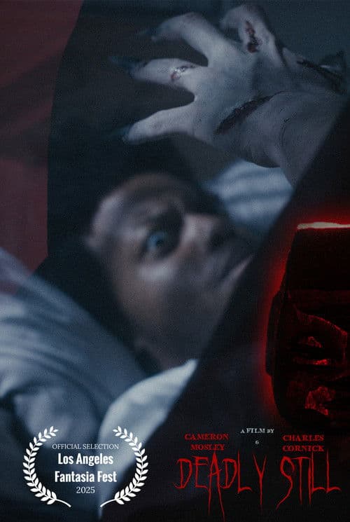 Deadly Still poster