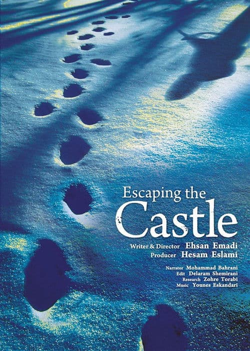 Escaping the Castle poster