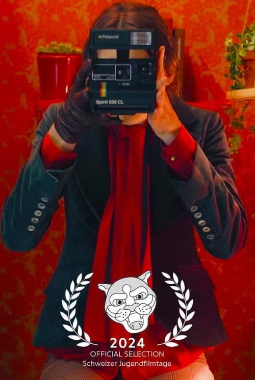 Diary of a Photobooth poster