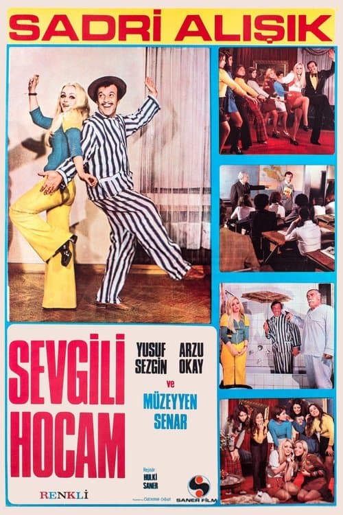 Sevgili Hocam poster