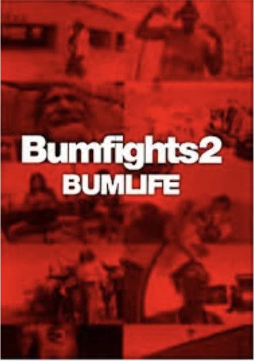 Bumfights 2:Bumlife poster