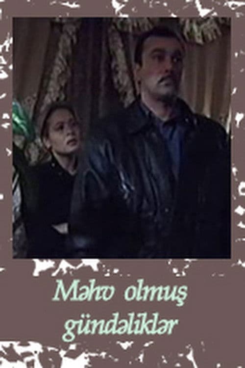 Destroyed Diaries poster