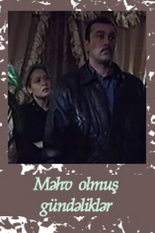 Destroyed Diaries poster