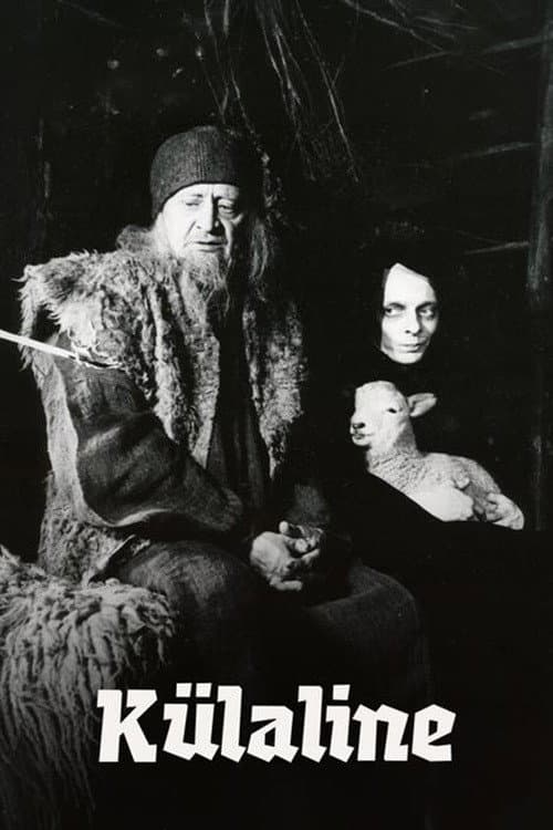 The Visitor poster