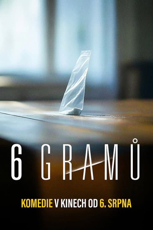6 gramů poster