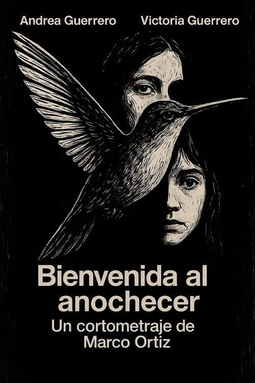 Bienvenida al Anochecer poster
