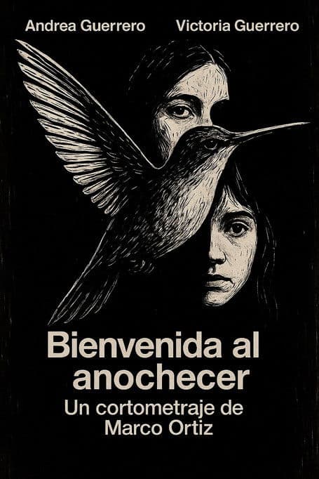 Bienvenida al Anochecer poster