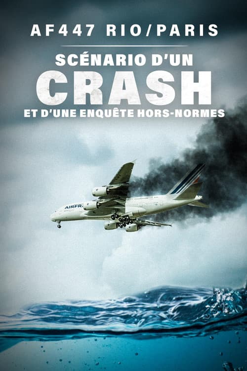 AF447 Rio/Paris : scénario d'un crash et d'une enquête hors normes