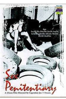 Sex Penitentiary poster