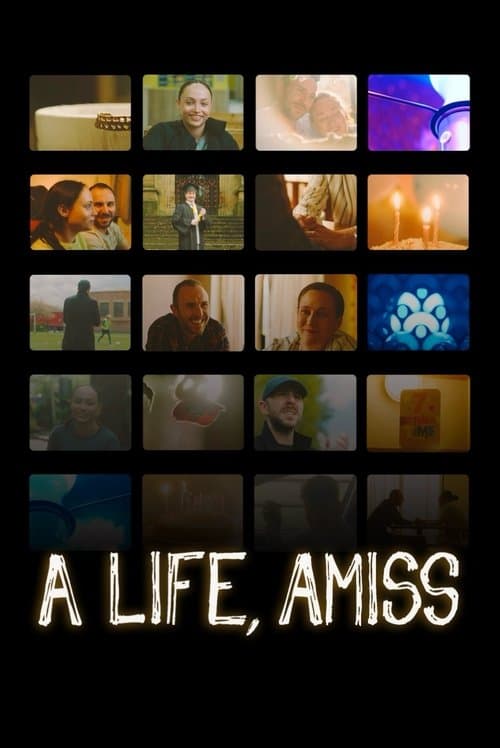 A Life, Amiss poster