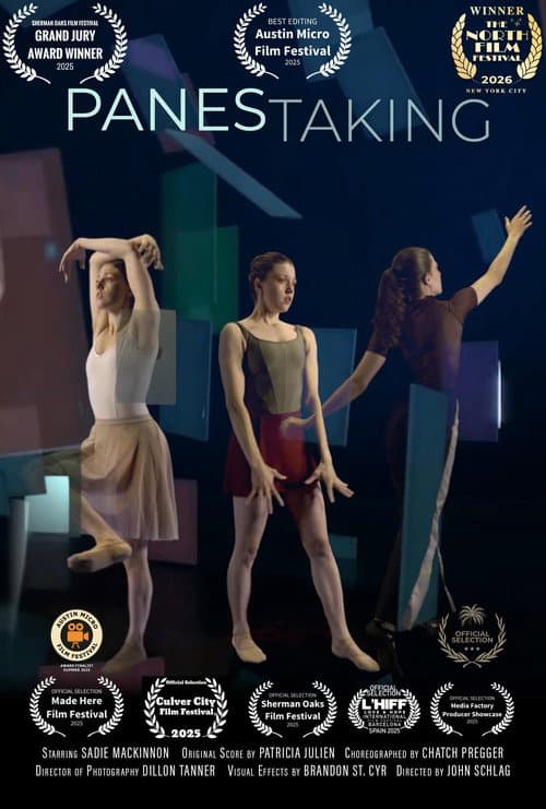 Panes Taking poster