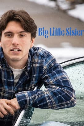 Big Little Sister poster