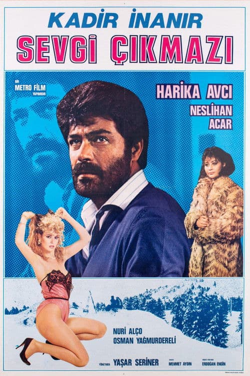 Sevgi Çıkmazı poster
