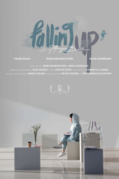 Falling Up poster
