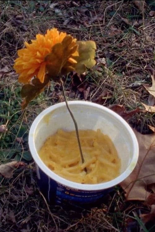 Macaroni Serenade poster