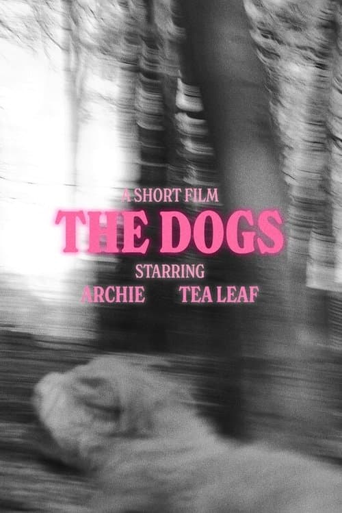 The Dogs poster
