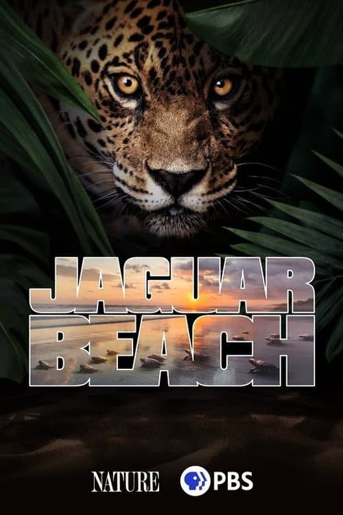 Jaguar Beach‎ poster