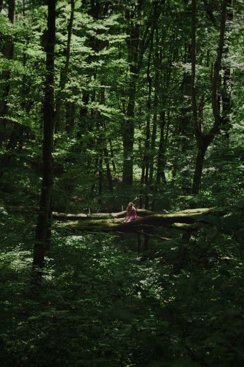 Kétoldali közelítés poster