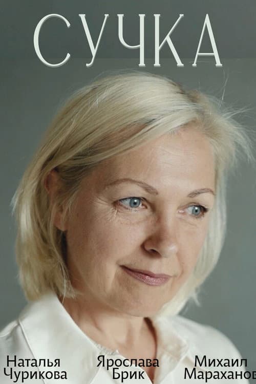 Bitch poster