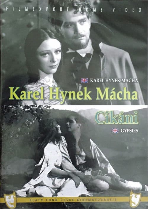 Gypsies poster