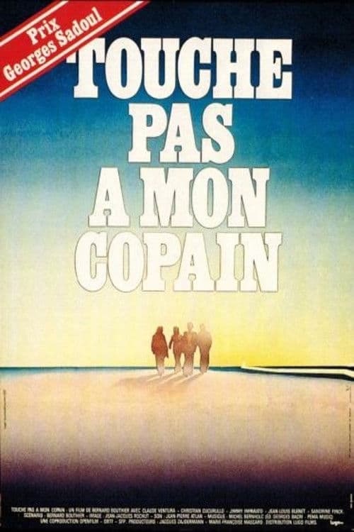 Touche pas à mon copain poster