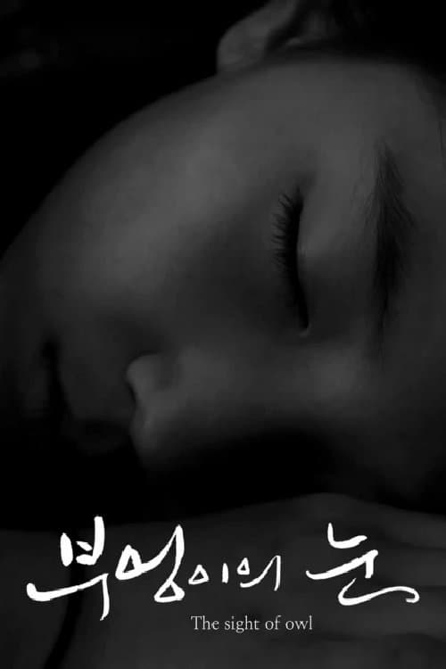 The Sight of Owl poster