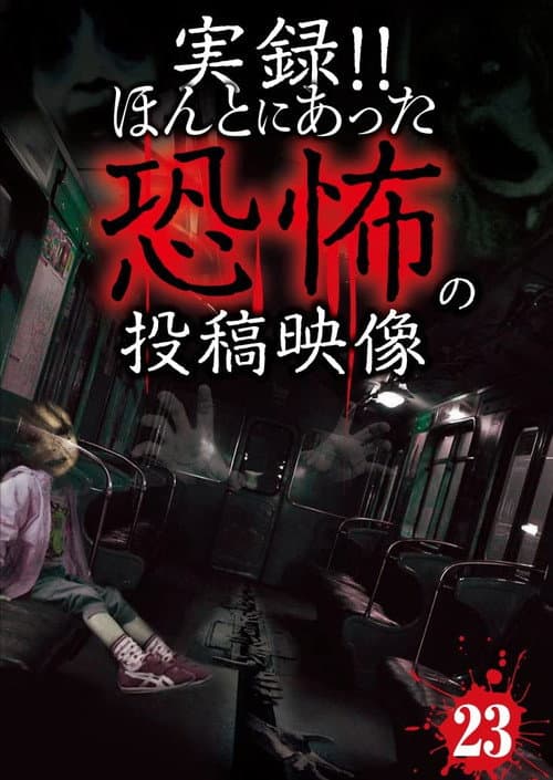 Actual Record! Real Horror Posted Video 23 poster