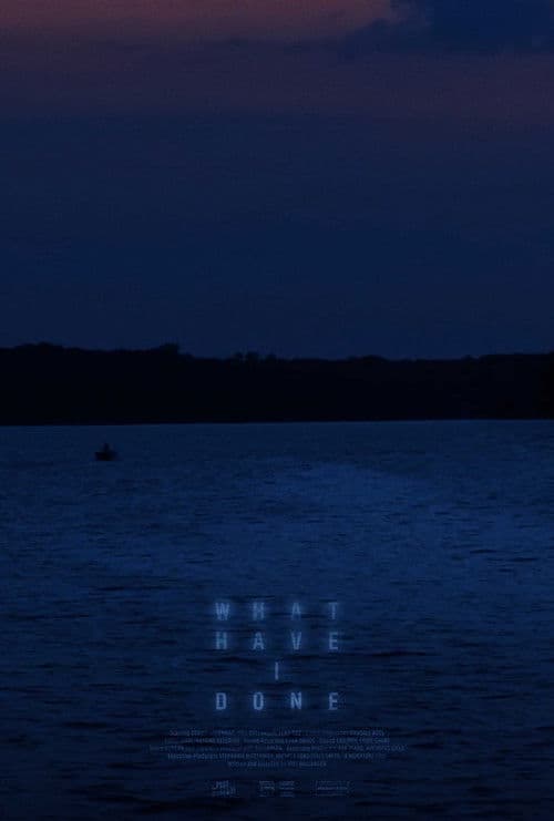 What Have I Done poster