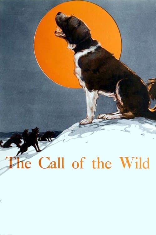 The Call of the Wild poster